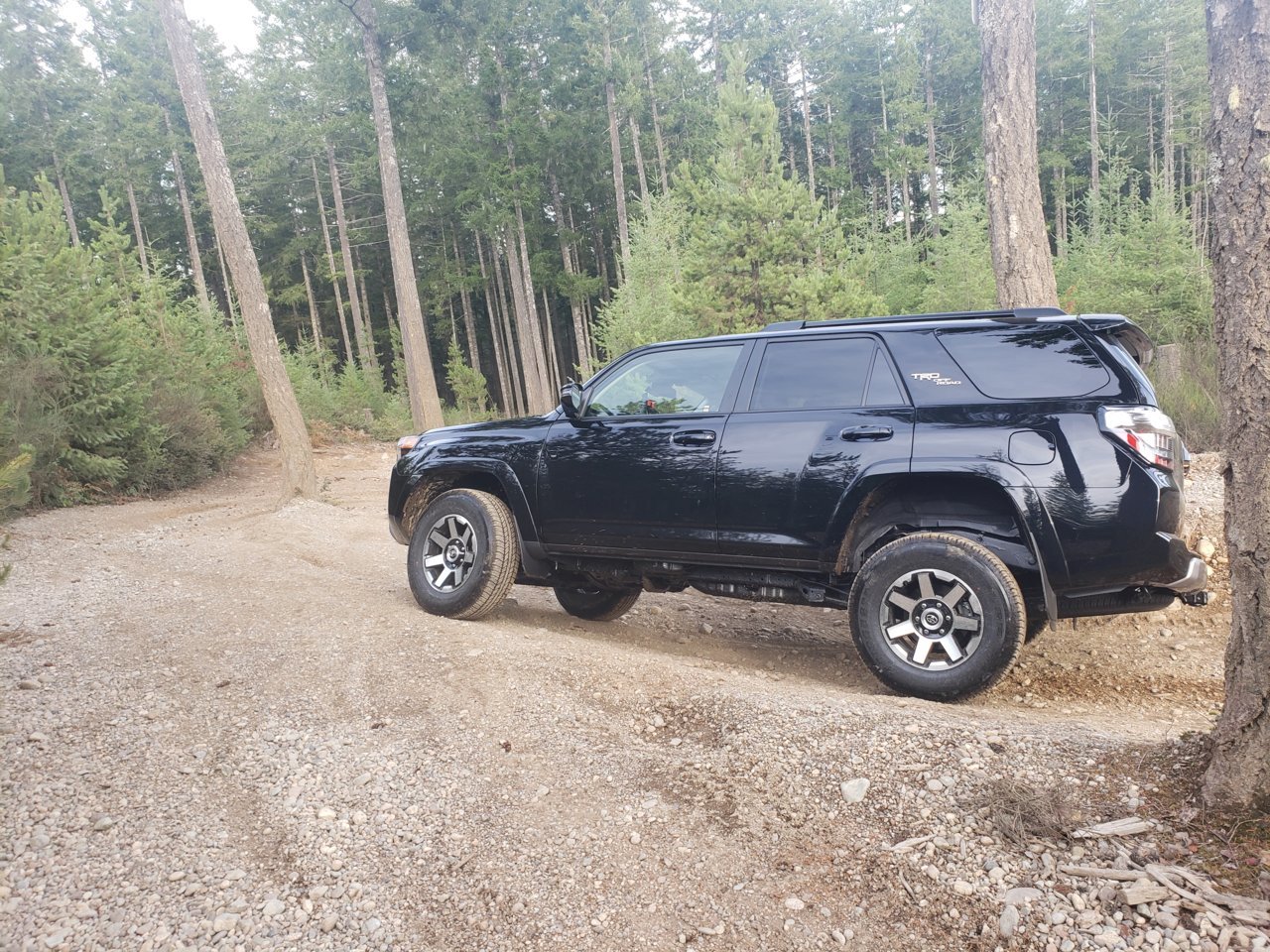 What an easy Trail Toyota 4Runner Forum