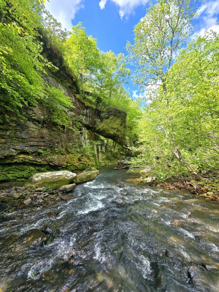 20250506_110521.jpg