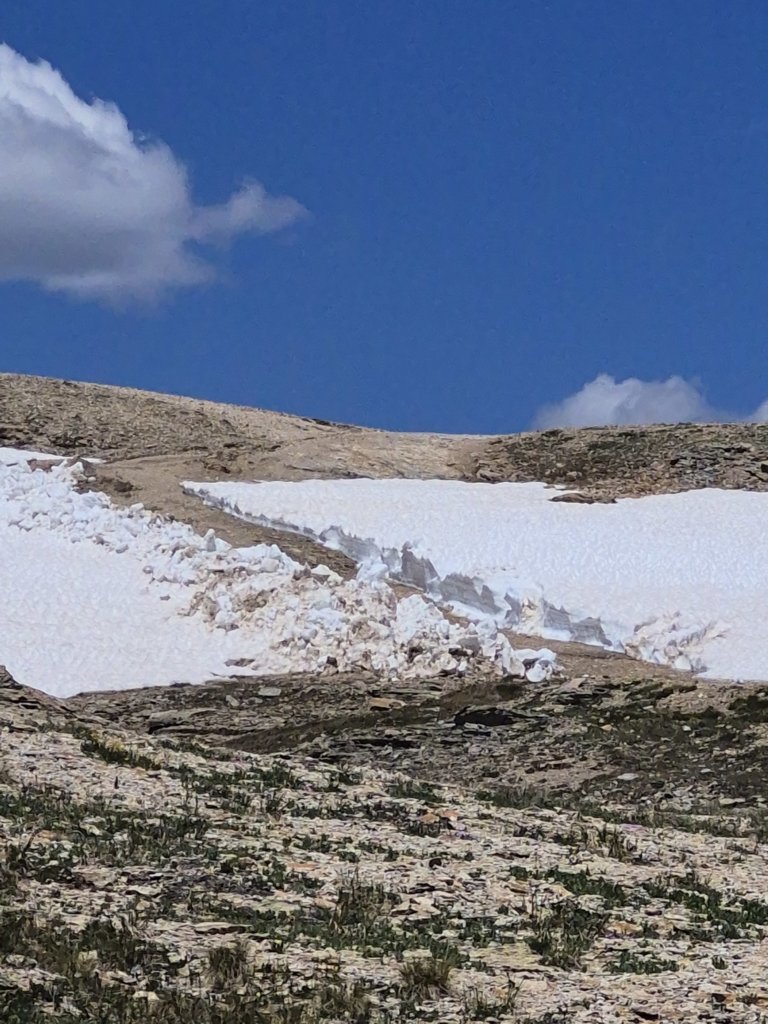 20250628_120926.jpg