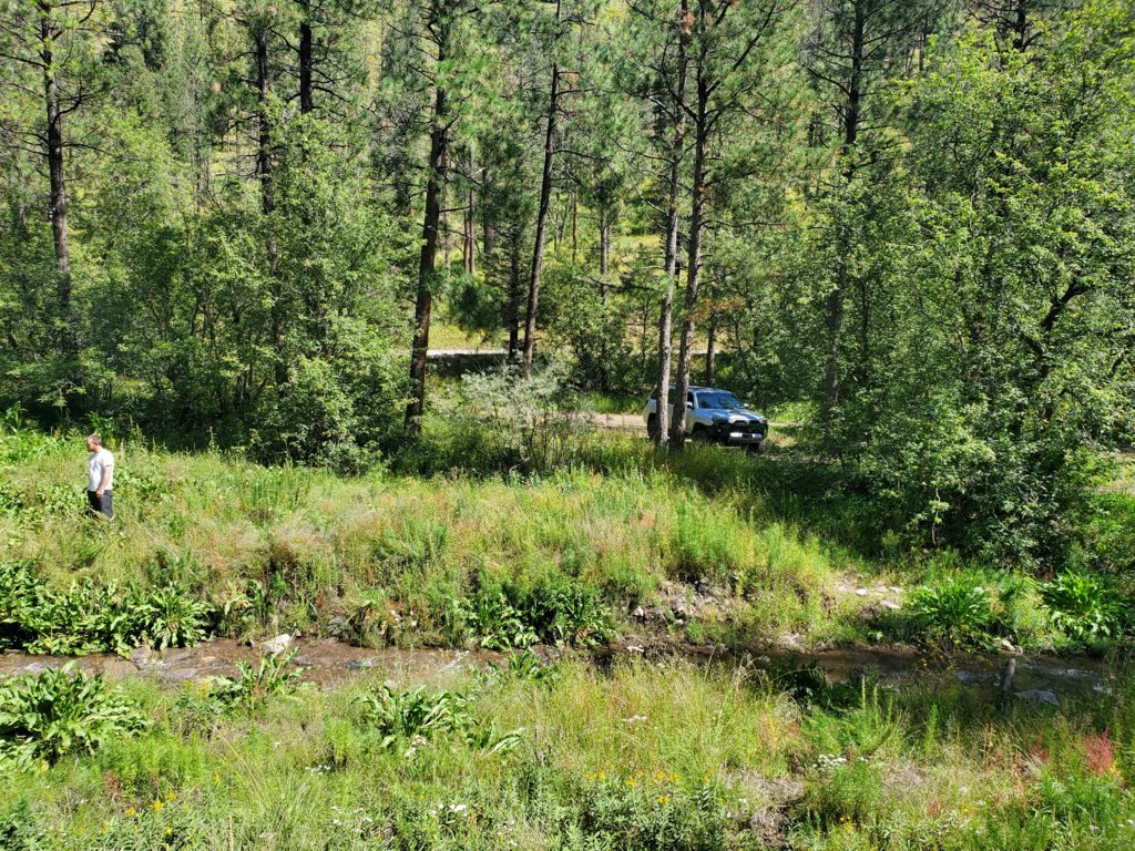 20250915_112231.jpg