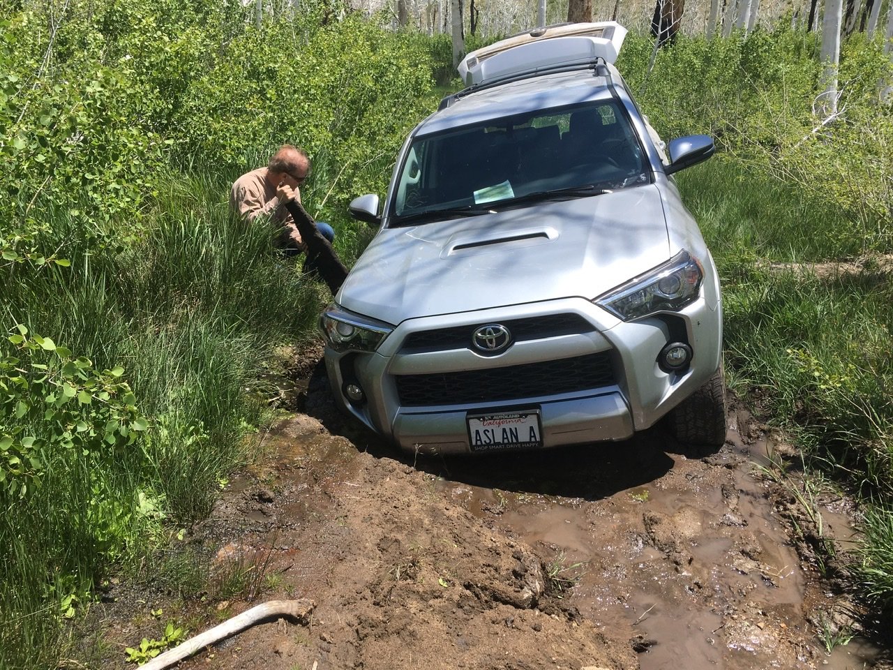 4runner best sale dog ramp