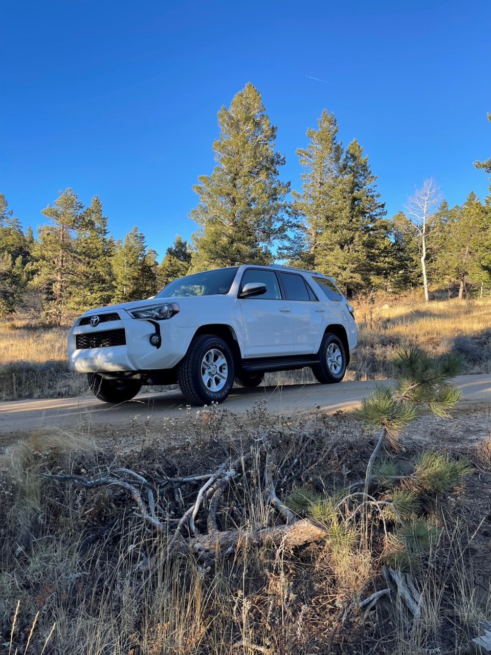 4Runner1.jpg