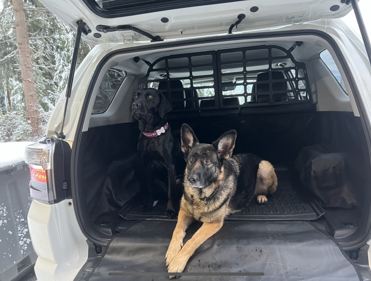 4runner dog hot sale ramp