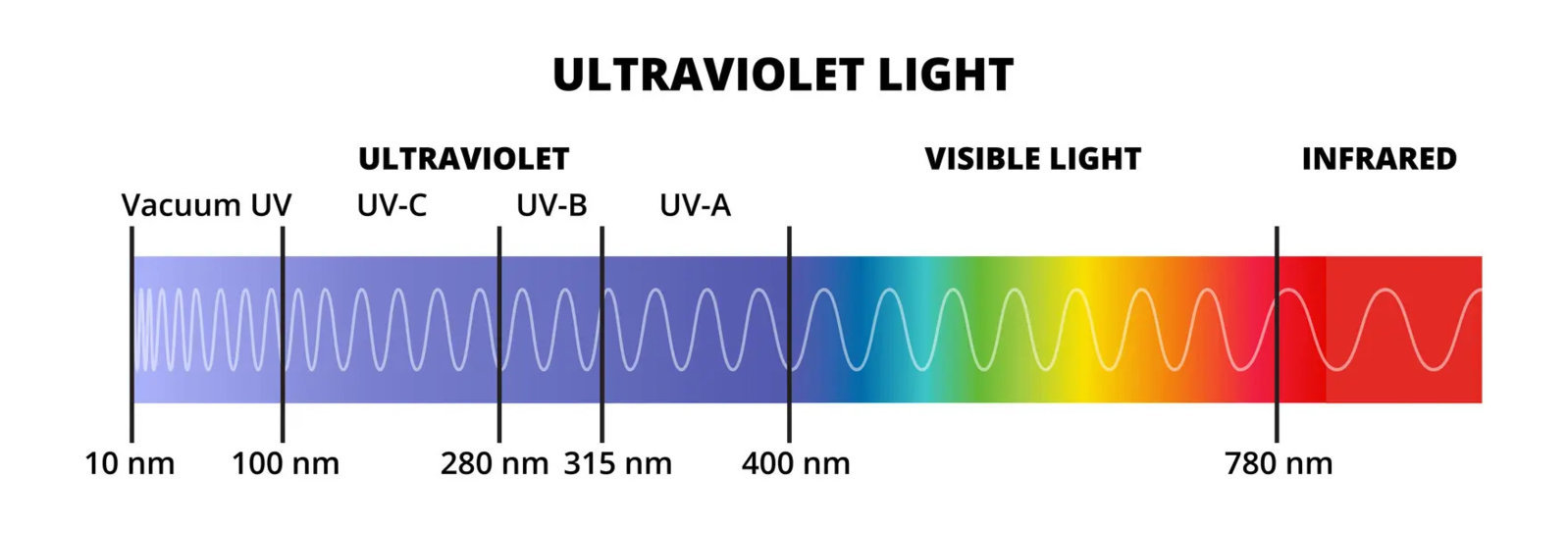 Black-Light-vs-UV-Light-UV-Rays.jpg