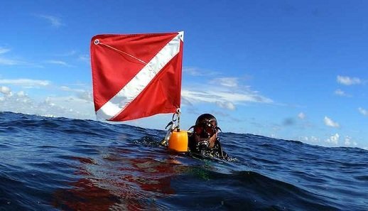 diver-down-flag-3297491543.jpg