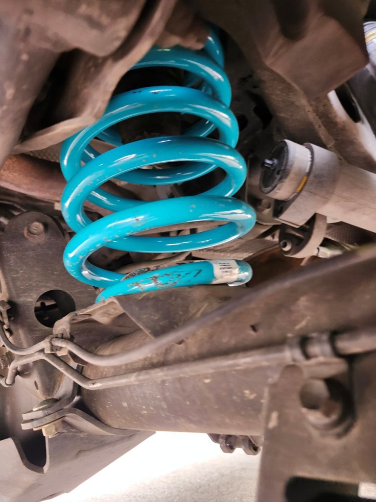 Dobinsons Spring Coils right side.jpg