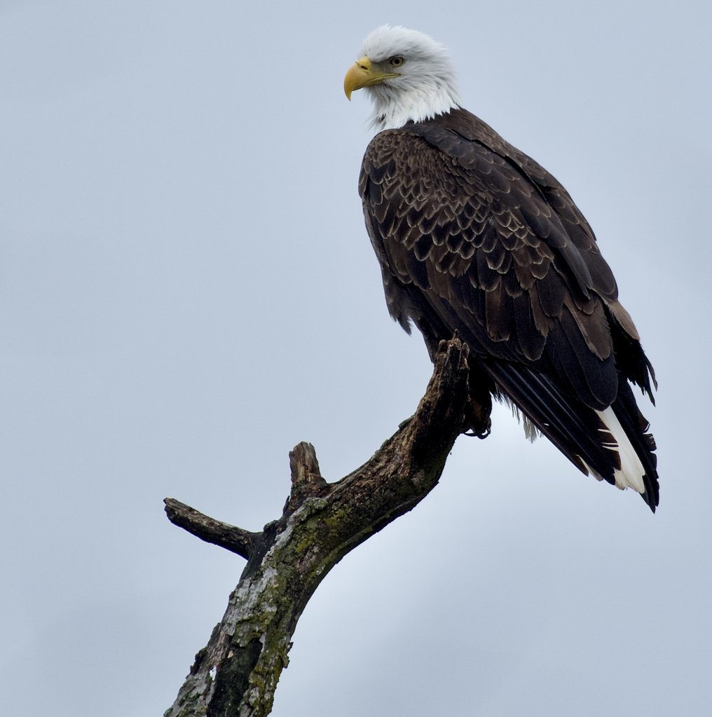 DSC_8345.jpg