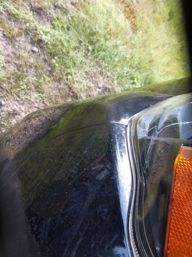 DSCN3948.jpg