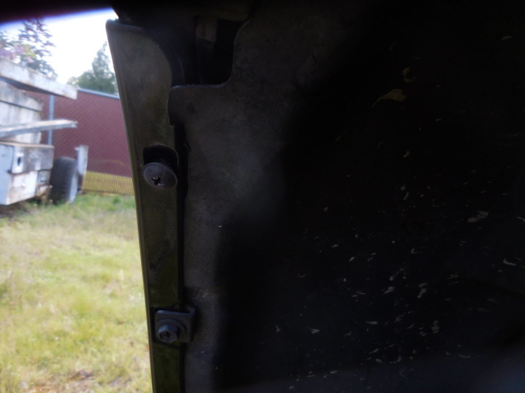 DSCN3949.jpg