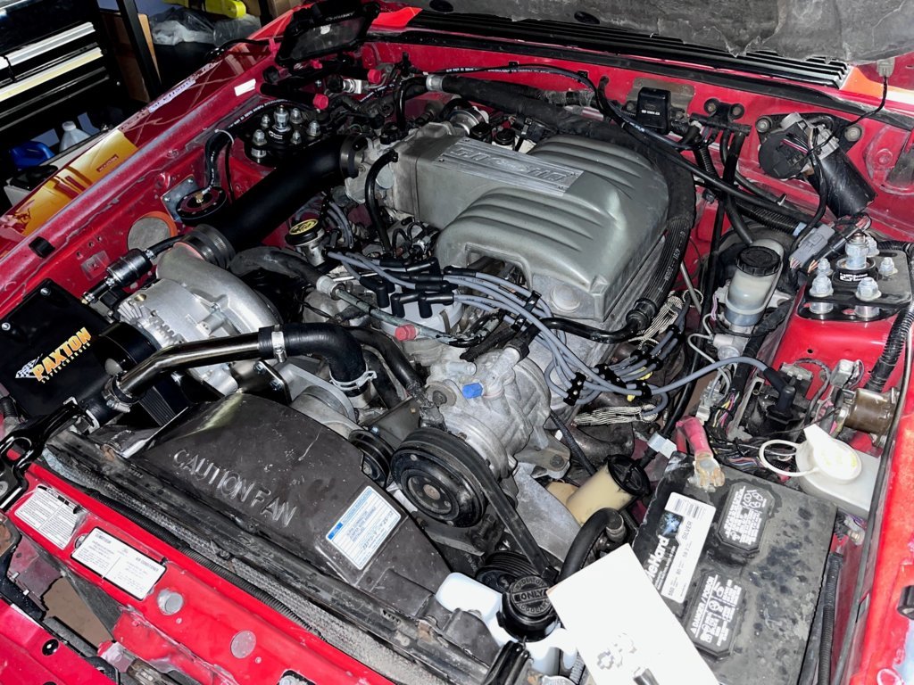 Fox Engine Bay.jpg