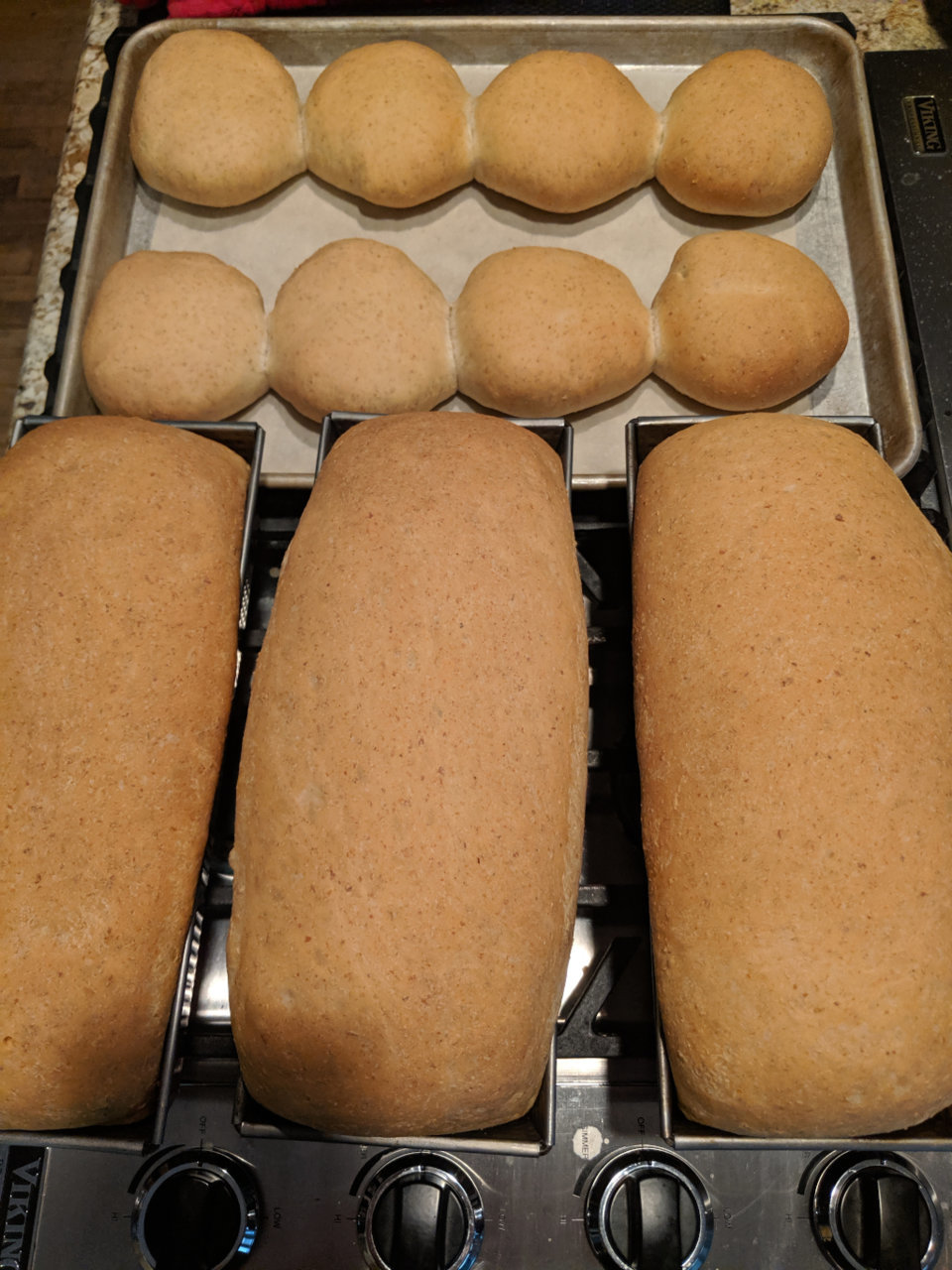fresh-bread.jpg