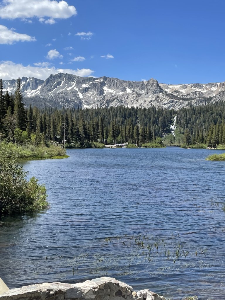IMG_5073.jpg