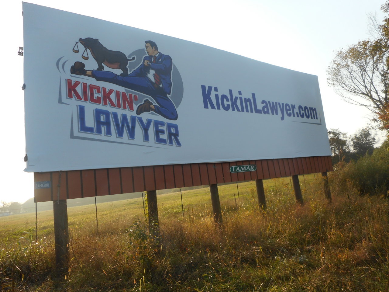 kicking Lawyer.jpg