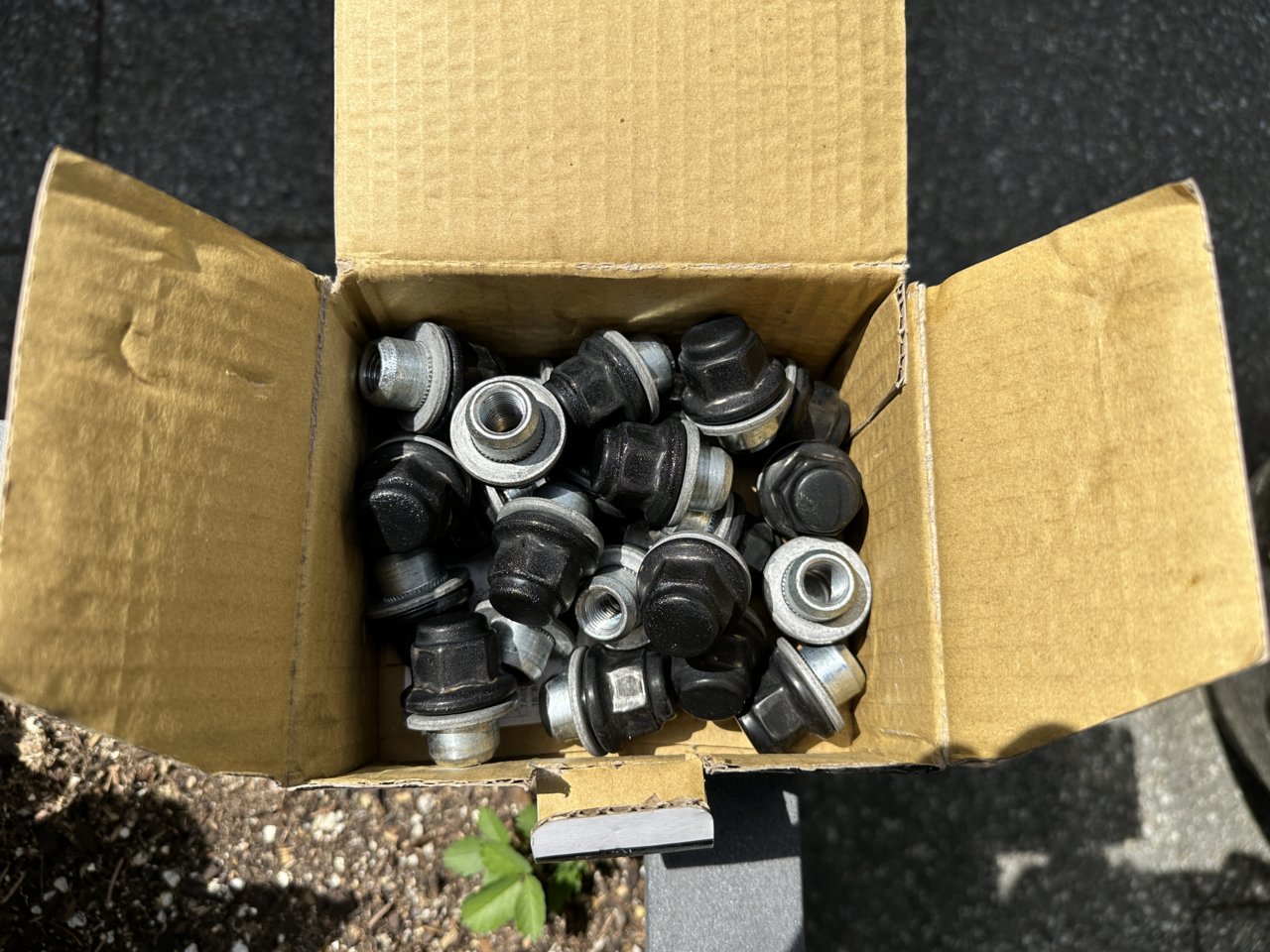 Lug Nuts.jpg