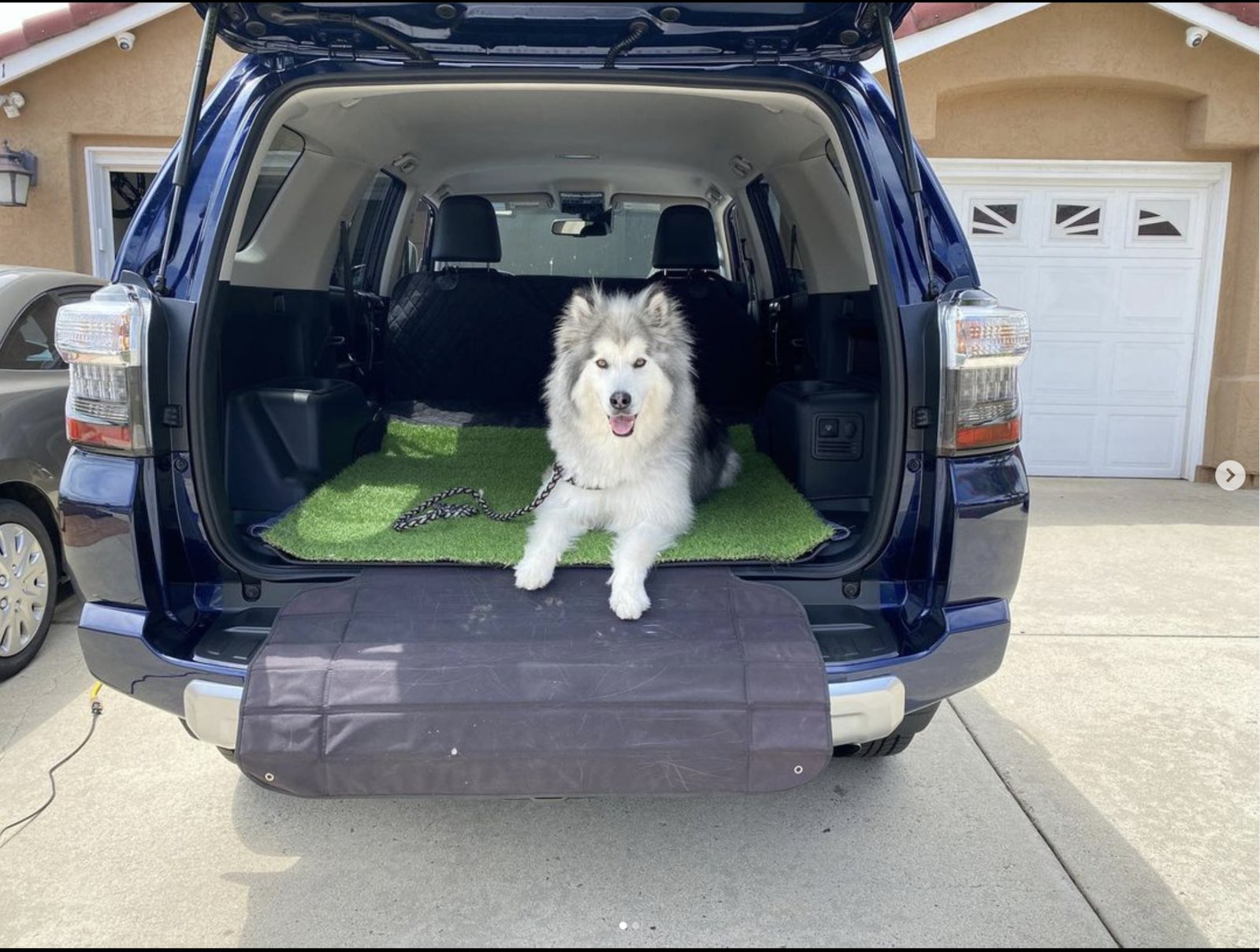 4runner dog ramp hotsell