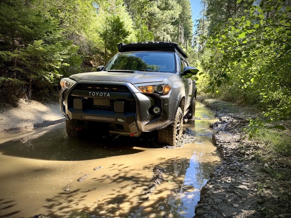 muddin.jpg