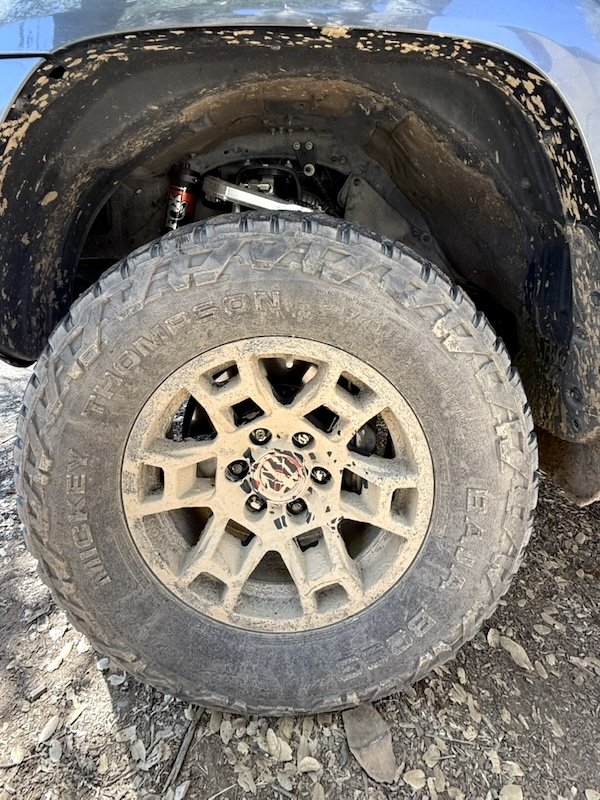muddin2.jpg