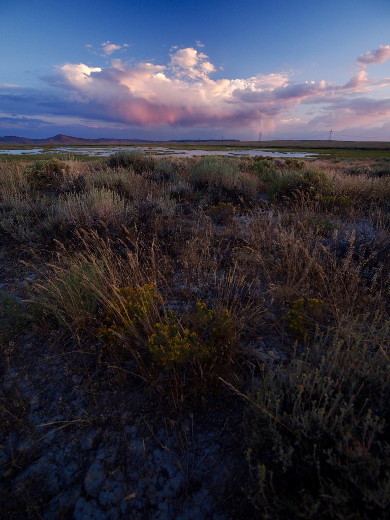 P7132746.jpg