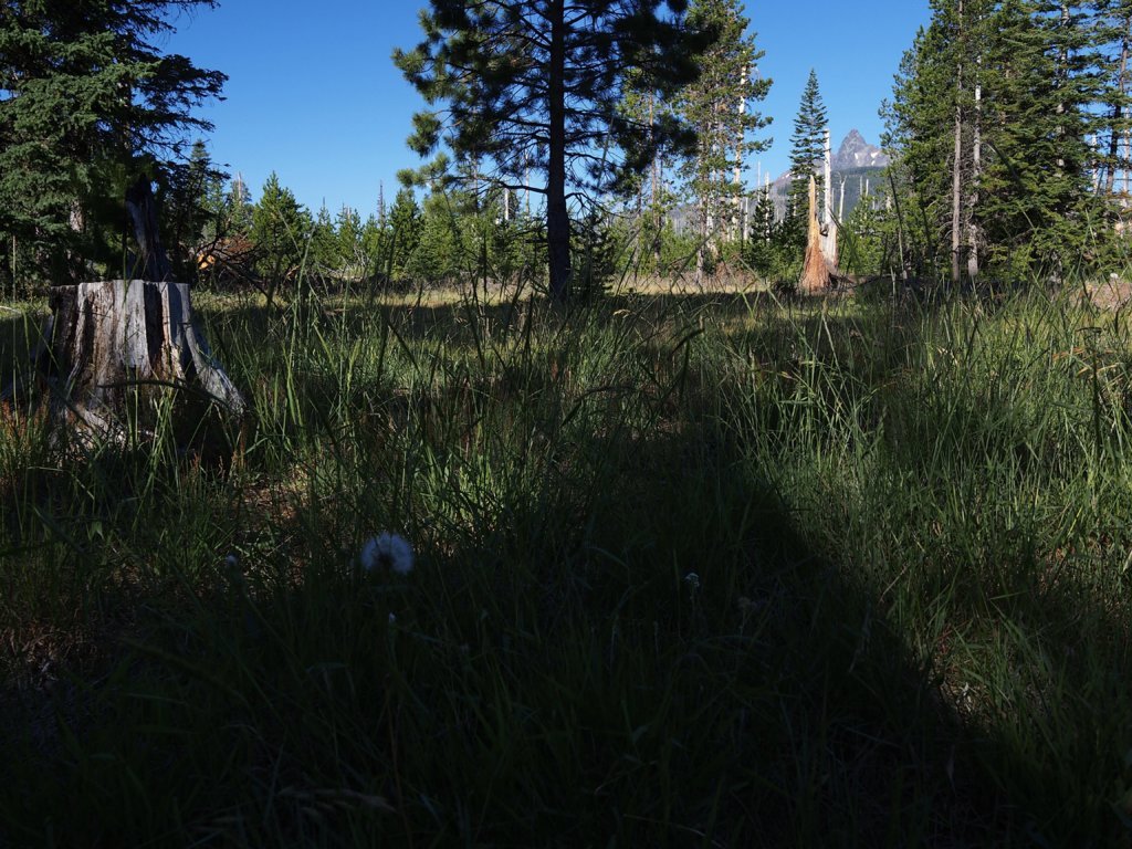 P7172956.jpg