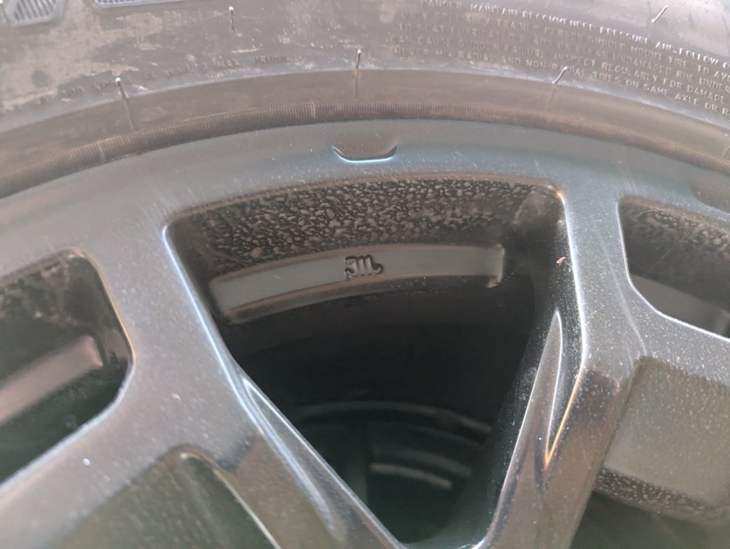 PXL_20250501_230210464.jpg