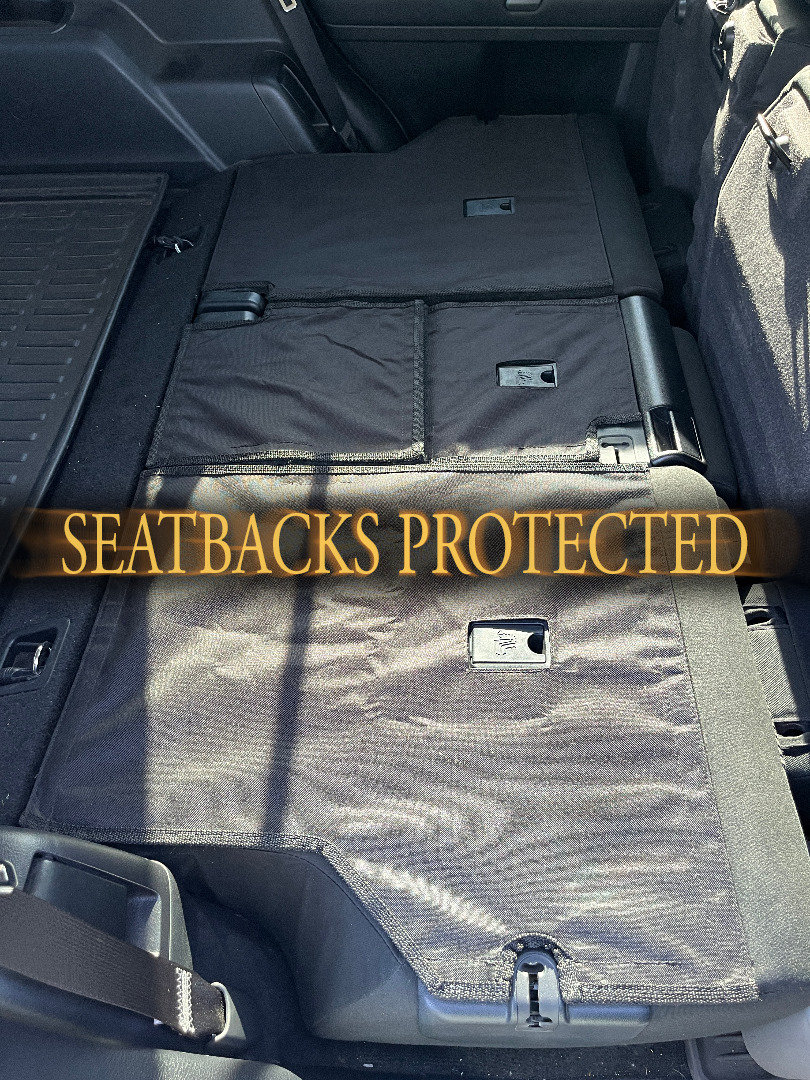 SEATBACKS PROTECTED.jpg