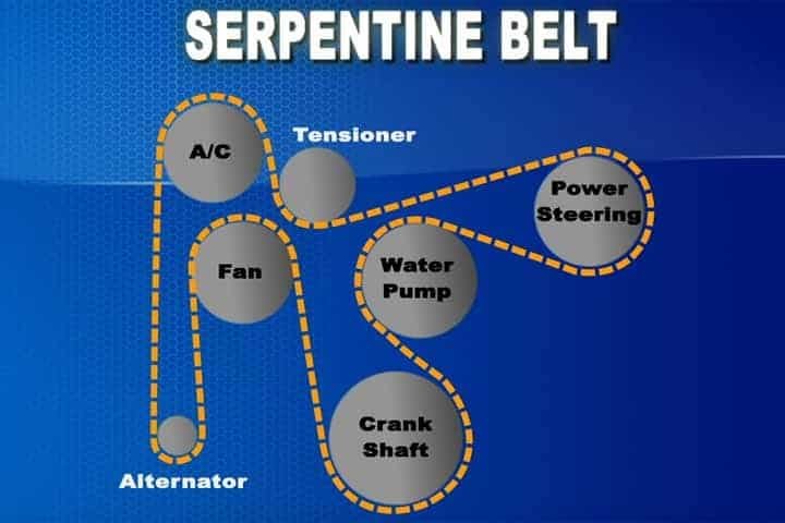 Serpentine-Belt.jpg