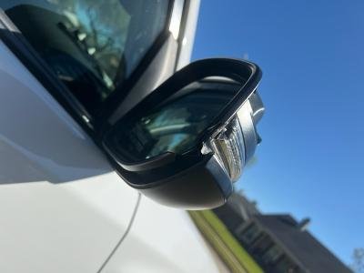 Side Mirror 2.jpg