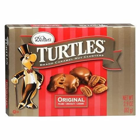 turtle.jpg