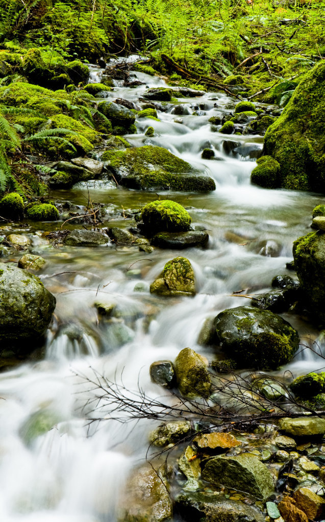 waterfall in forest 2.jpg