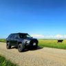 OffRoadBertie2018