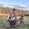 GunDogCody