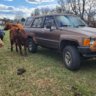 87Chewie4runner