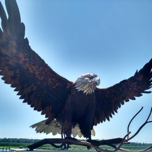 Metal sculpture at Montezuma