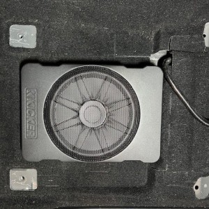 Kicker HS10 Subwoofer