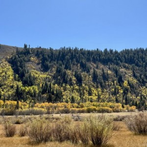 IMG_3592