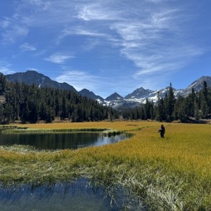 IMG_2620