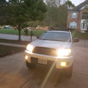 PreRunner Lights Yellow Fogs